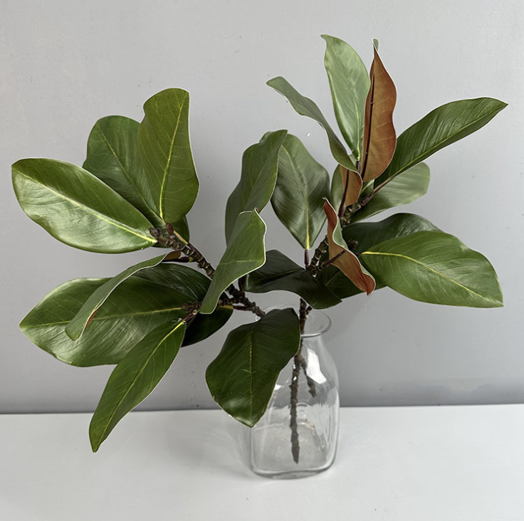 22''T Nature Touch Faux Magnolia Leaf Branch, Indoor/Ourdoor: Green