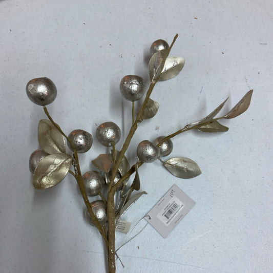 6 XF070061 Dynasty Pod Branch