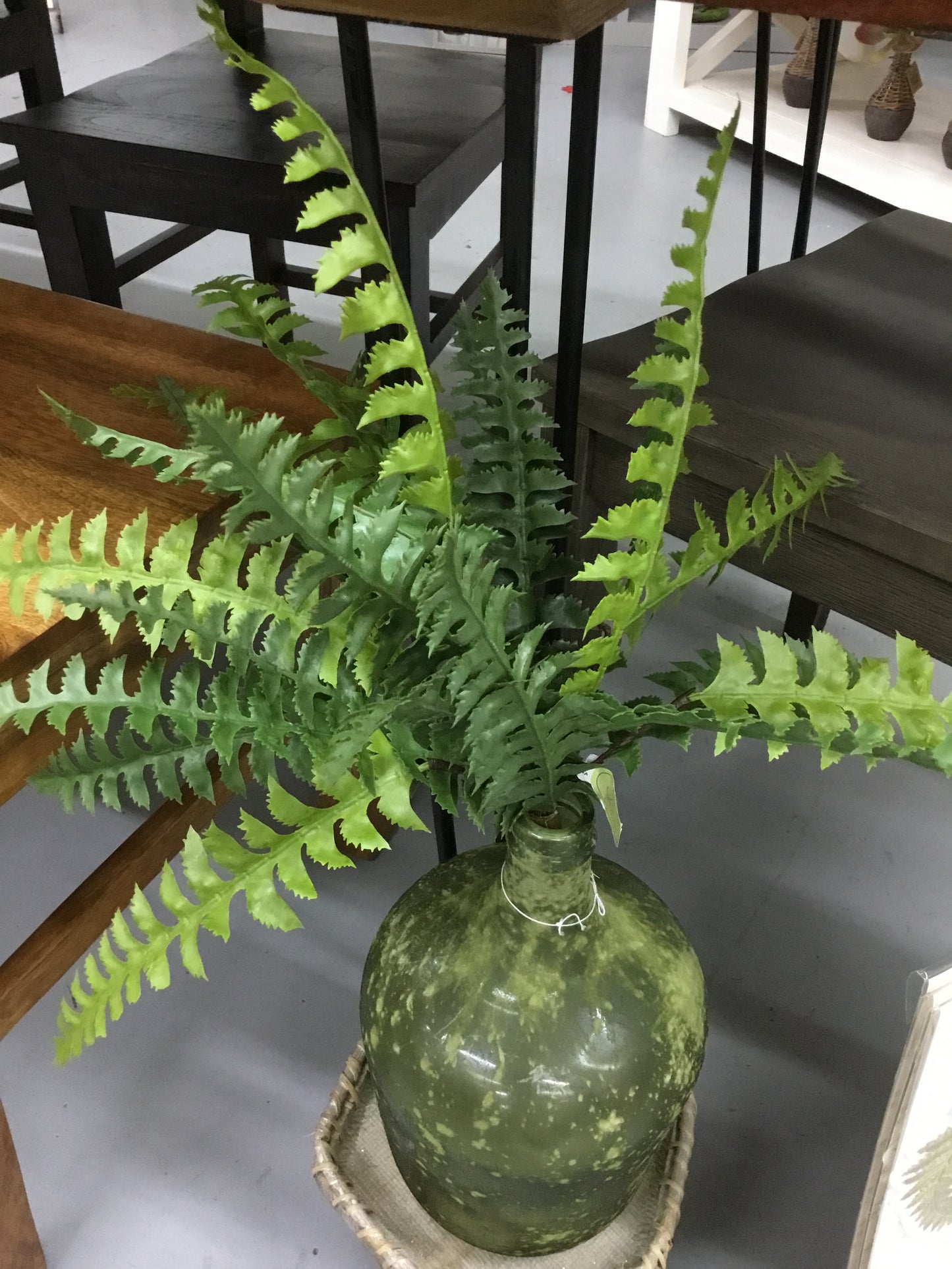 Dc20924-Fa Natural Touch Fish Tail Fern Plant