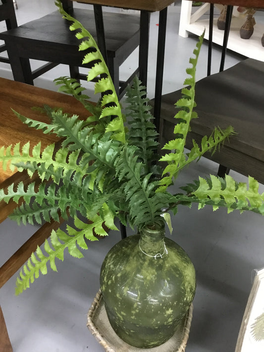 Dc20924-Fa Natural Touch Fish Tail Fern Plant