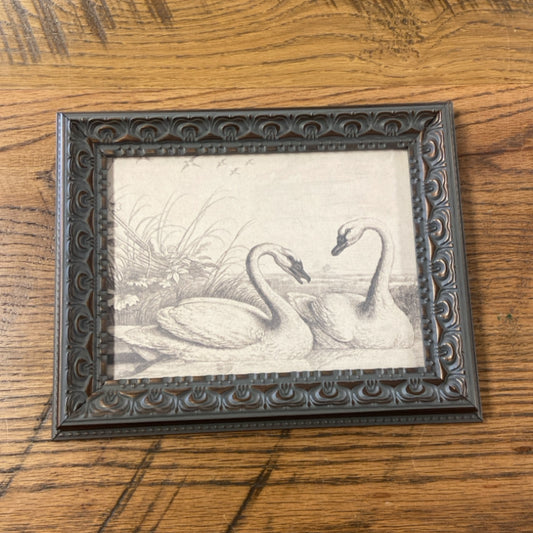 6 Two Swans