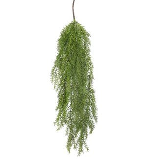 Sedum Hanging Spray 37"    (25)