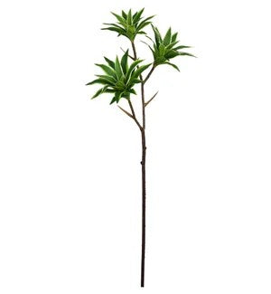 Tradescantia Spray 32"    (25)