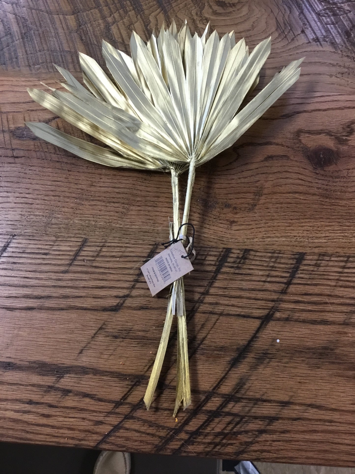 Df5792-CC Dried Palm Sun Bundle Of 3