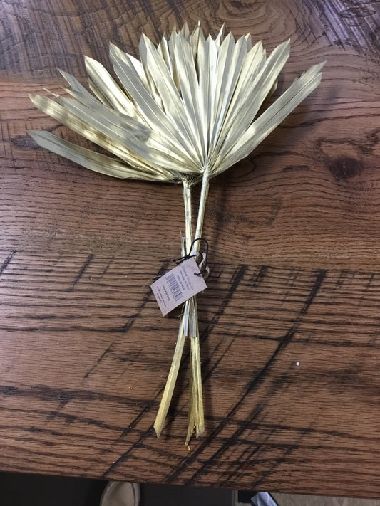 Df5792-CC Dried Palm Sun Bundle Of 3