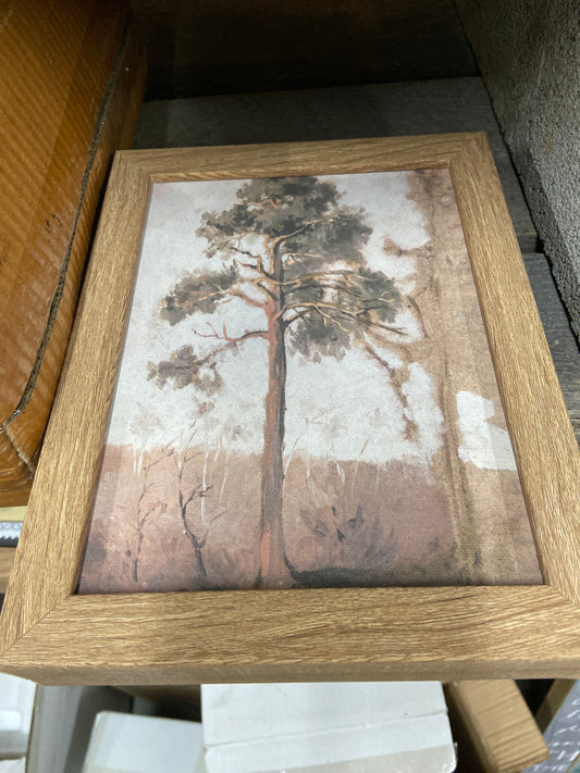 686733 Forrest Pine 6x8 Wall Art