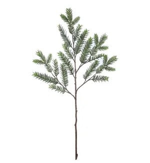 Pine Spray                     (25)