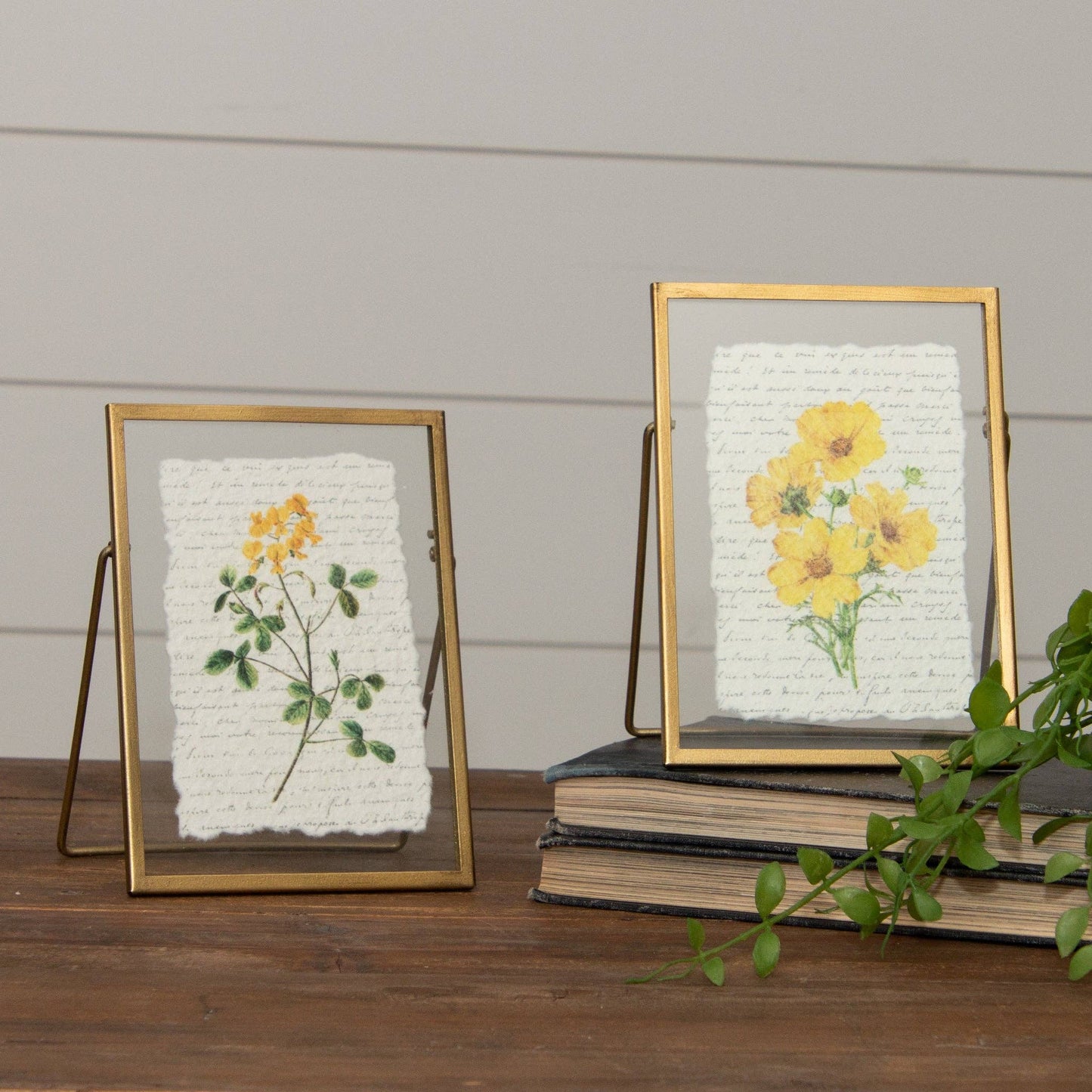 Gold Frame - Yellow Flowers                       (25)