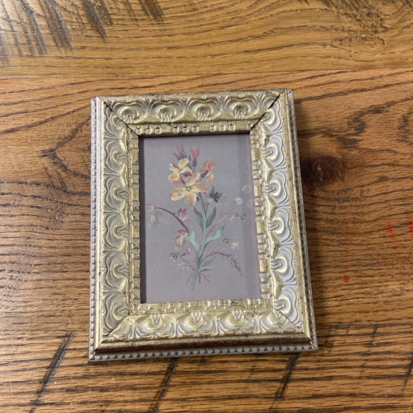 6 French Wildflowers