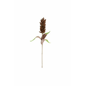 CLX3358 Botanica