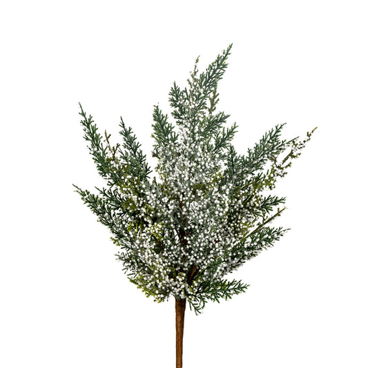 19" Cedar Bush with Berries